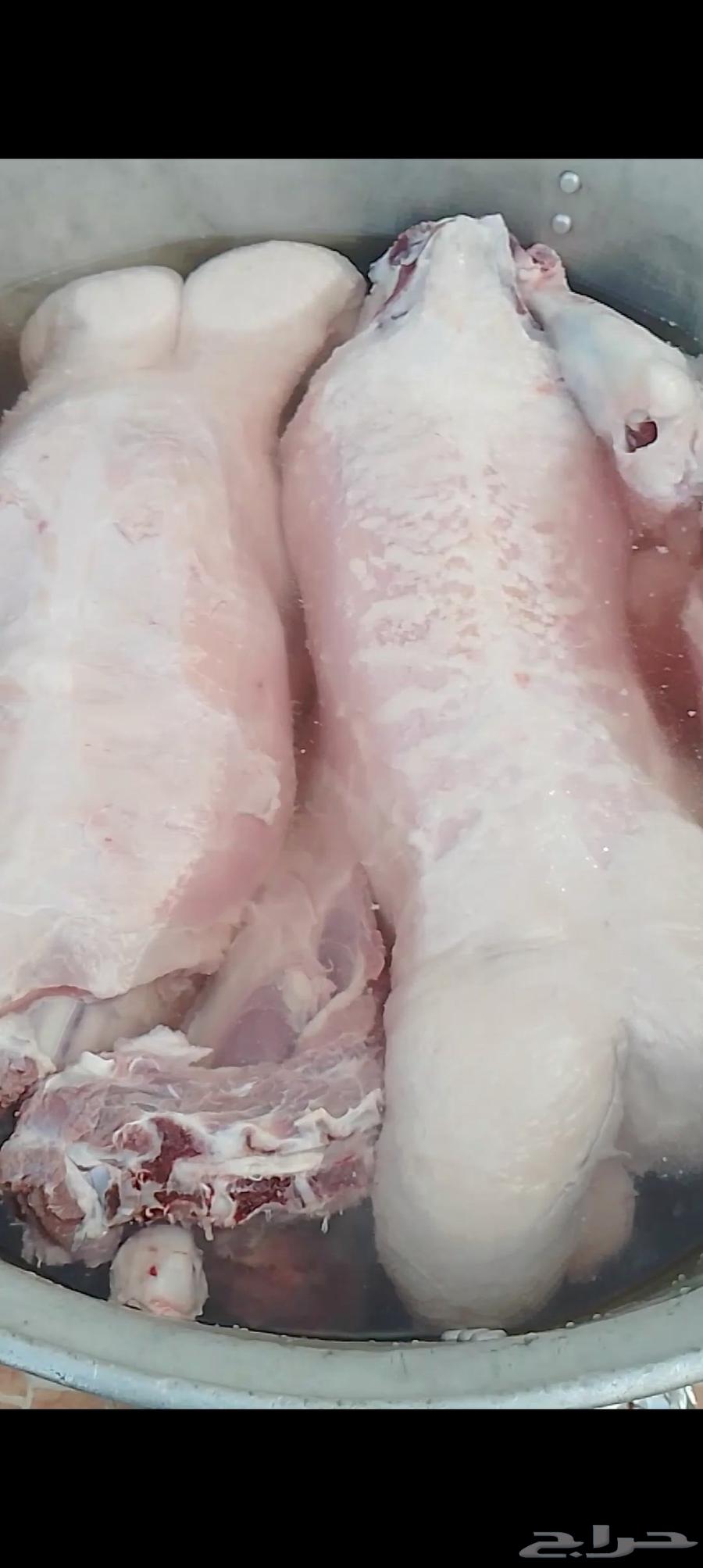 طباخ ذبايح متنقل مع جميع اغراض الطبخ ابو مشعل64459498474626112