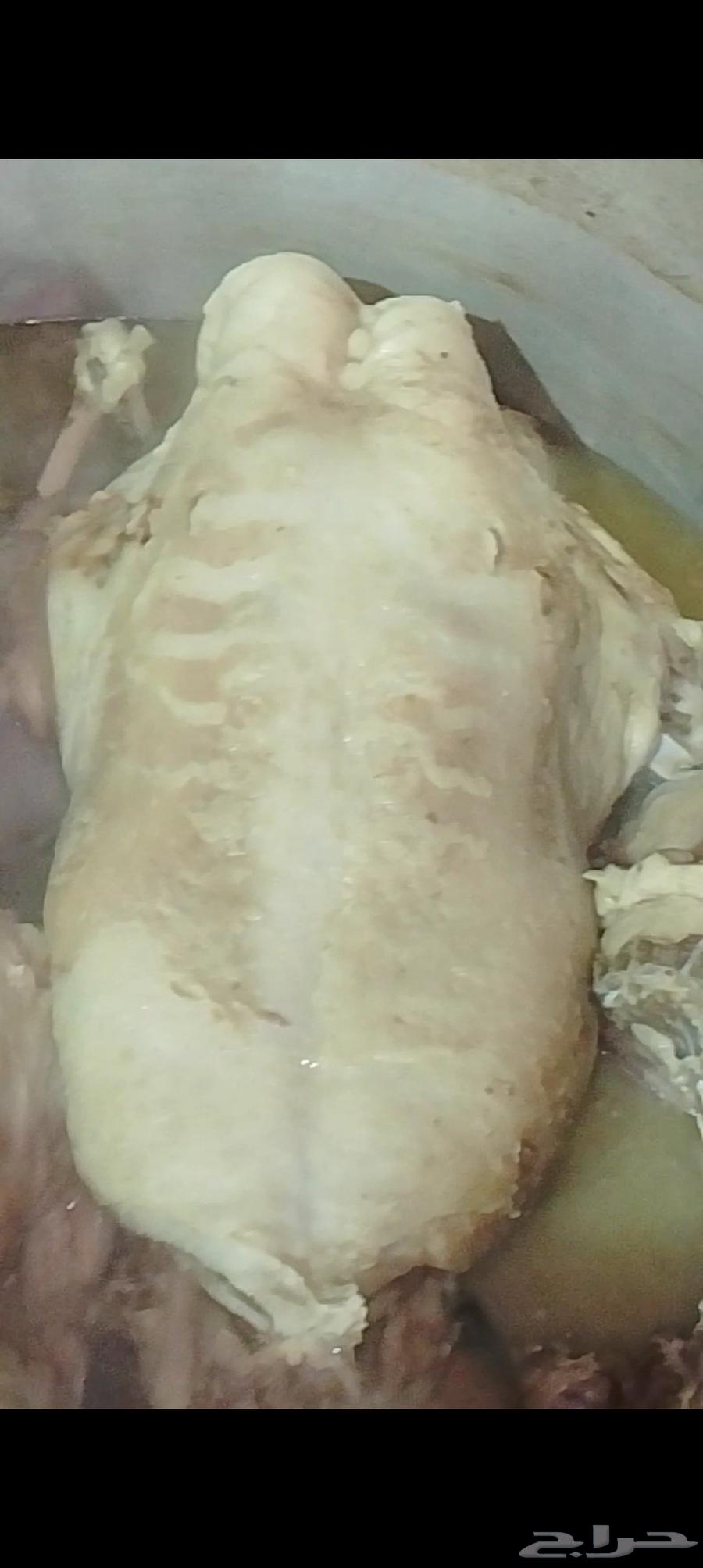 طباخ ذبايح متنقل مع جميع اغراض الطبخ ابو مشعل64459498474626111