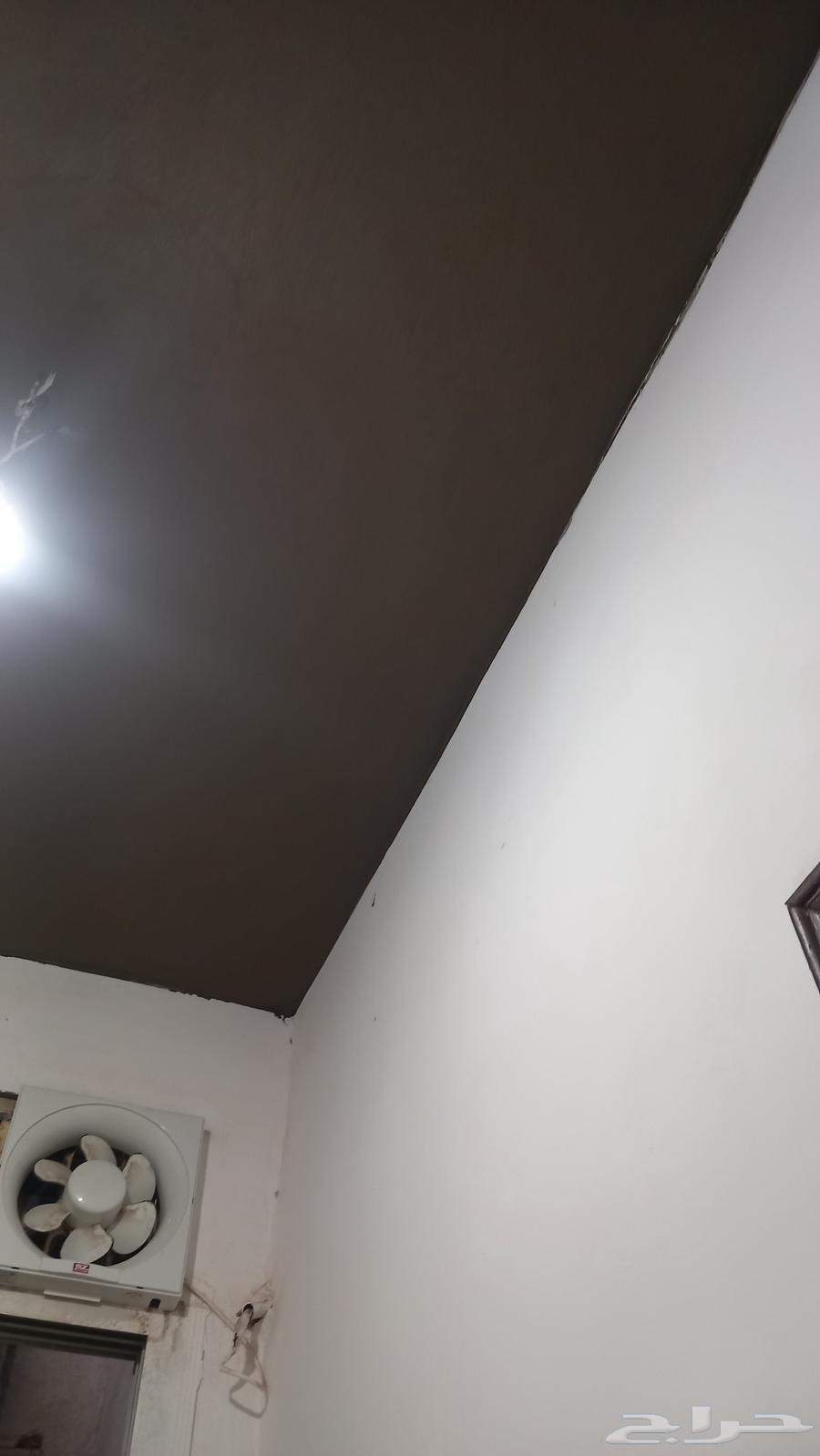 Plasterer and does all types of renovations64459790385283110