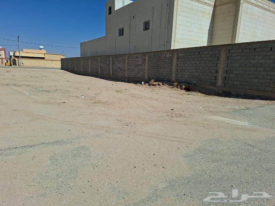 أرخص أرض في سنام ب35 الف64458118403330111