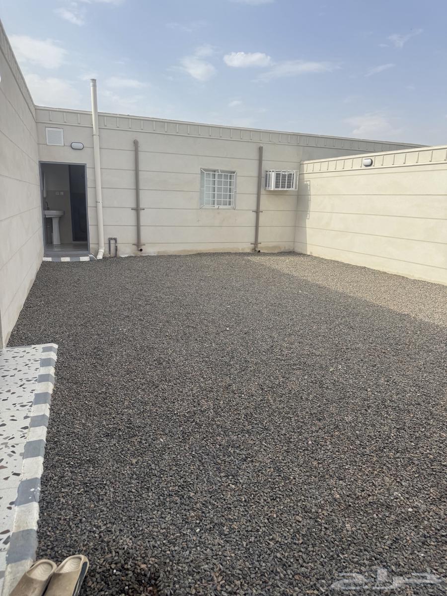 دوانيه للاجار في العريسه الجنوبيه مجلس كبير وغرفه وحوش واسع64458118026115110