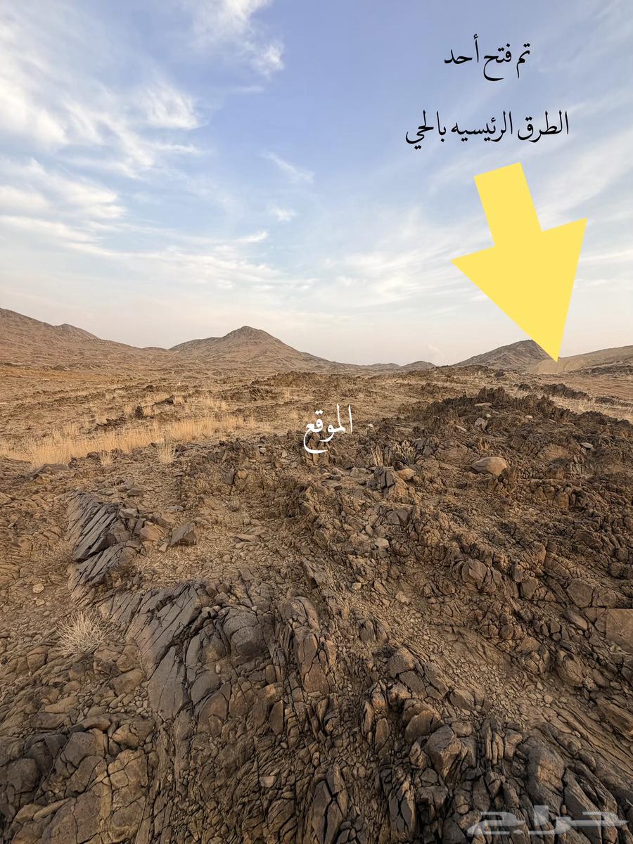 أنصاف أراضي مميزه للبيع بمدينة ابها بسعر 180 الف64458167338369113