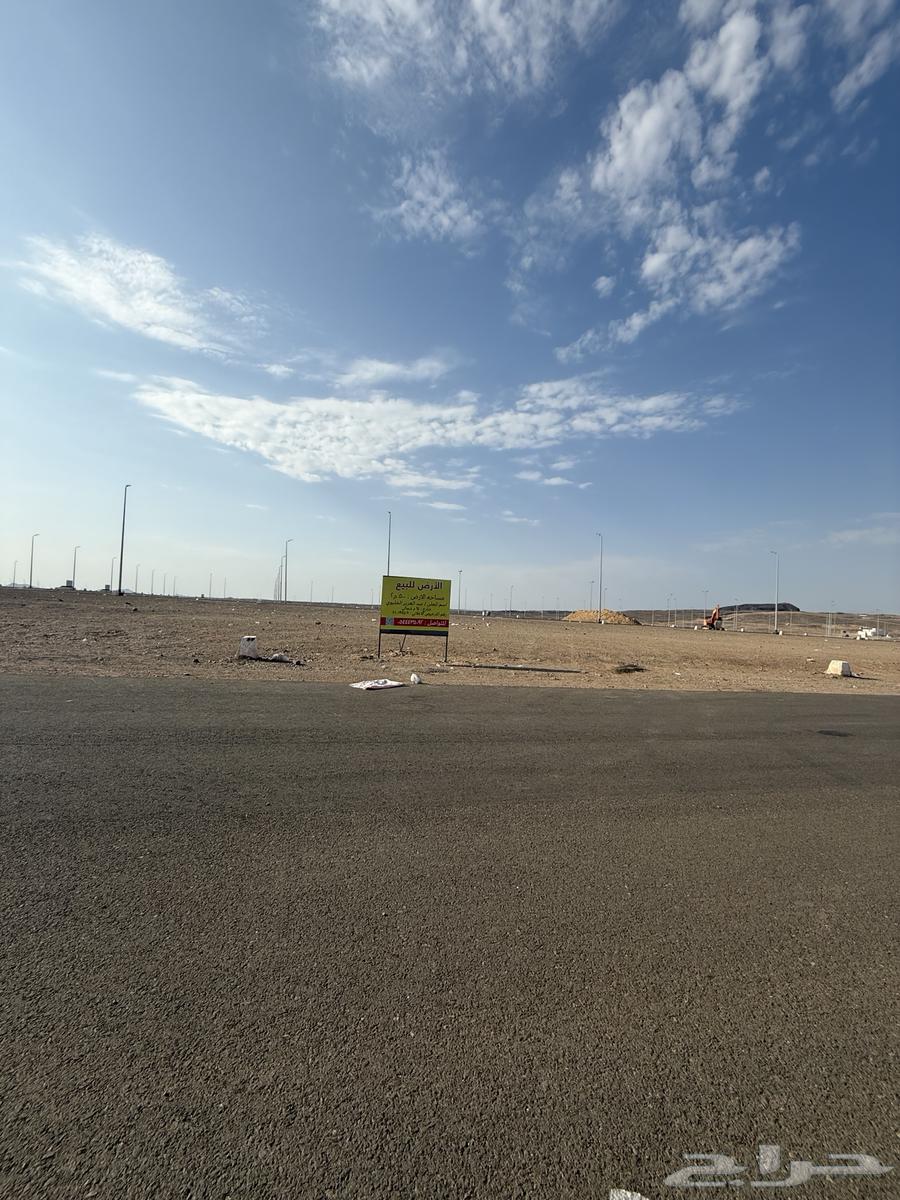للبيع ارض تجارية في مخطط اطلالة الرانوناء م500 شارع64 شمالي64458134980482112