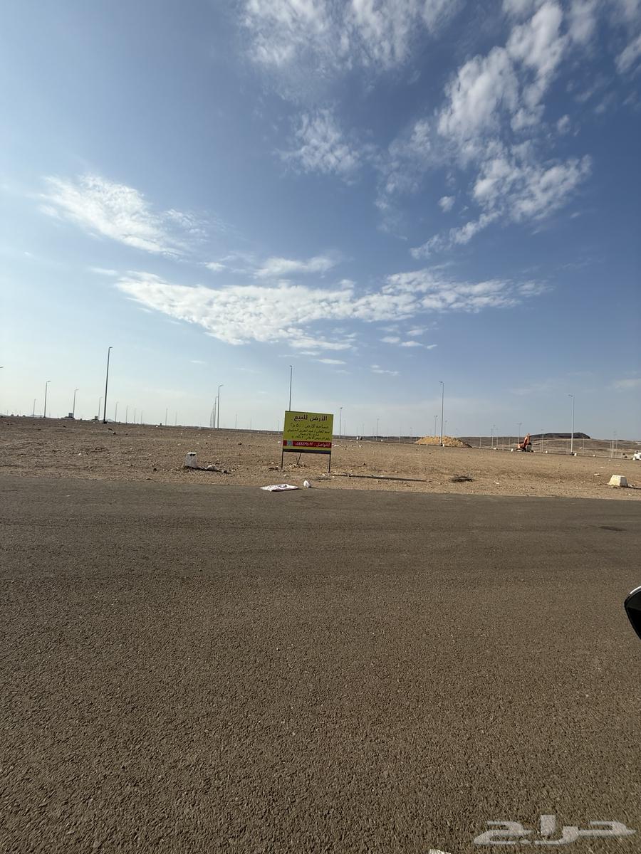 للبيع ارض تجارية في مخطط اطلالة الرانوناء م500 شارع64 شمالي64458134980482111