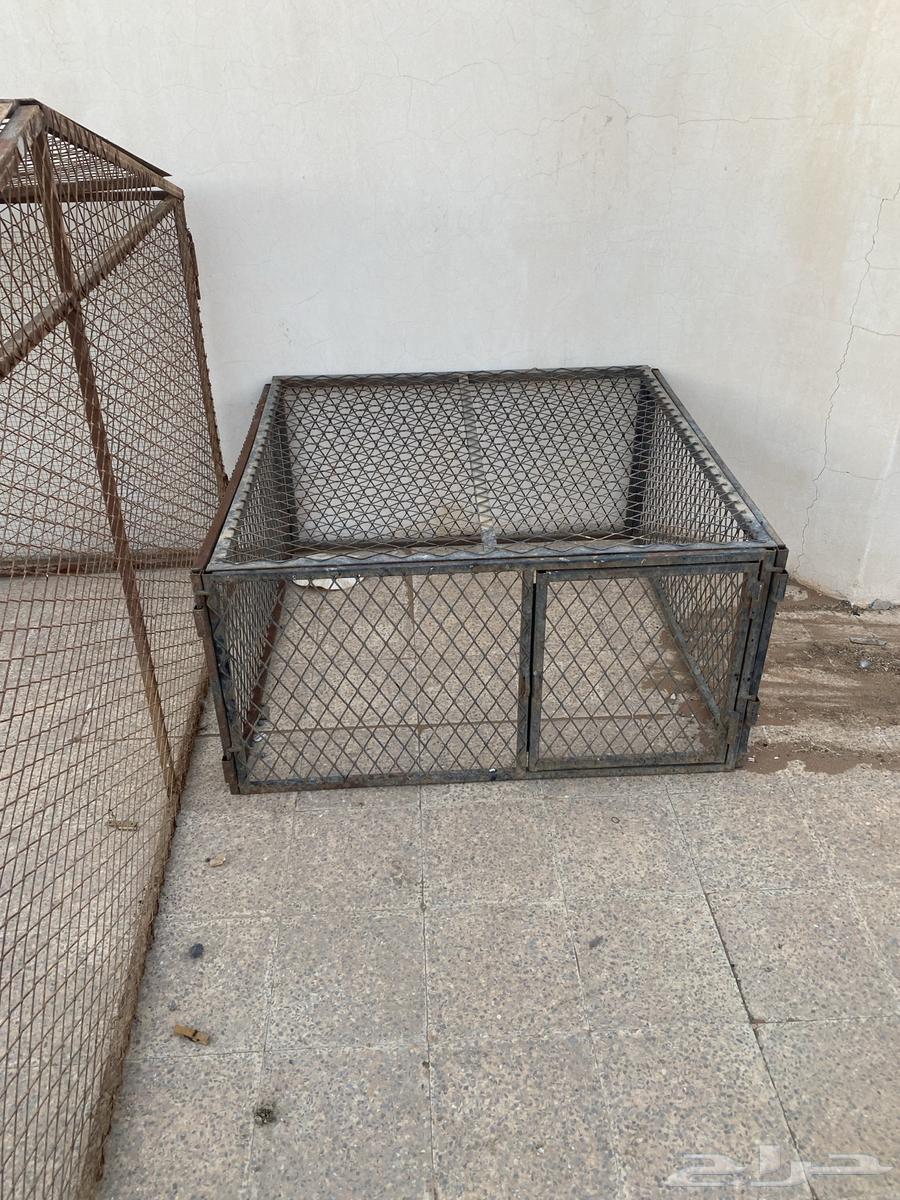 للبيع اشبوك مقاس 2 في 2. العدد 2 شبك مقاس 1 في 164459618792451112