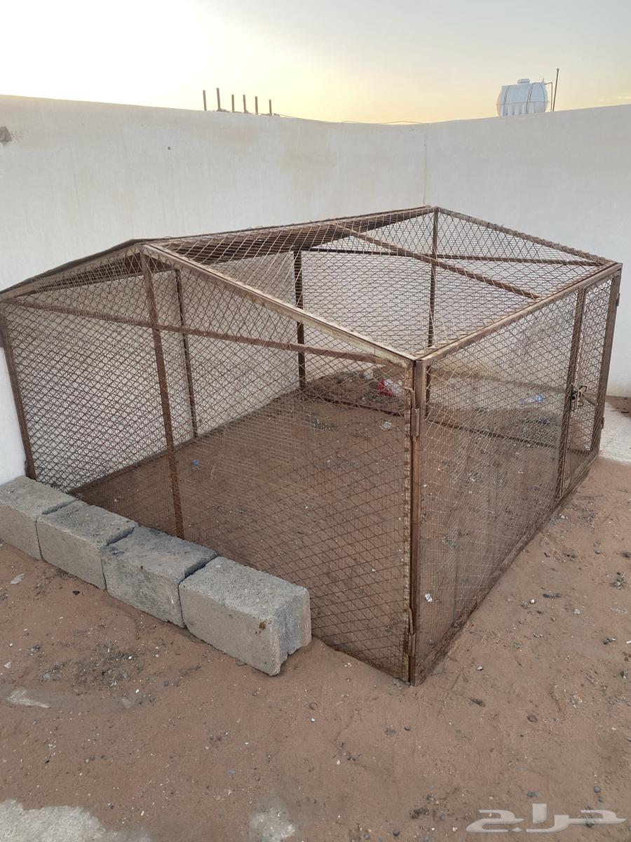 للبيع اشبوك مقاس 2 في 2. العدد 2 شبك مقاس 1 في 164459618792451114