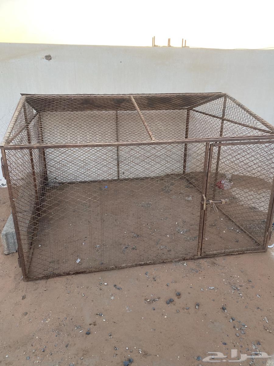 للبيع اشبوك مقاس 2 في 2. العدد 2 شبك مقاس 1 في 164459618792451113