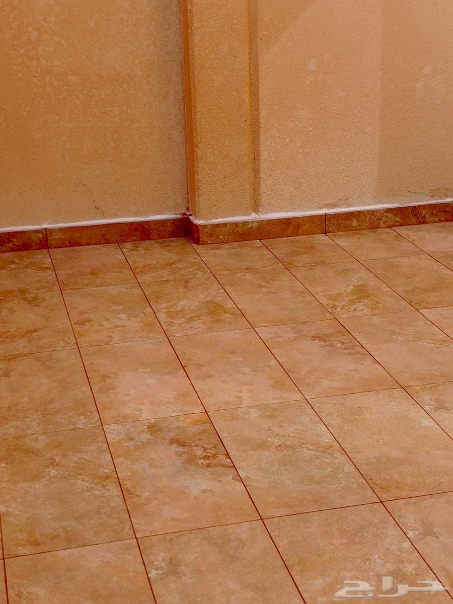 مبلط بلاط64457718583170113