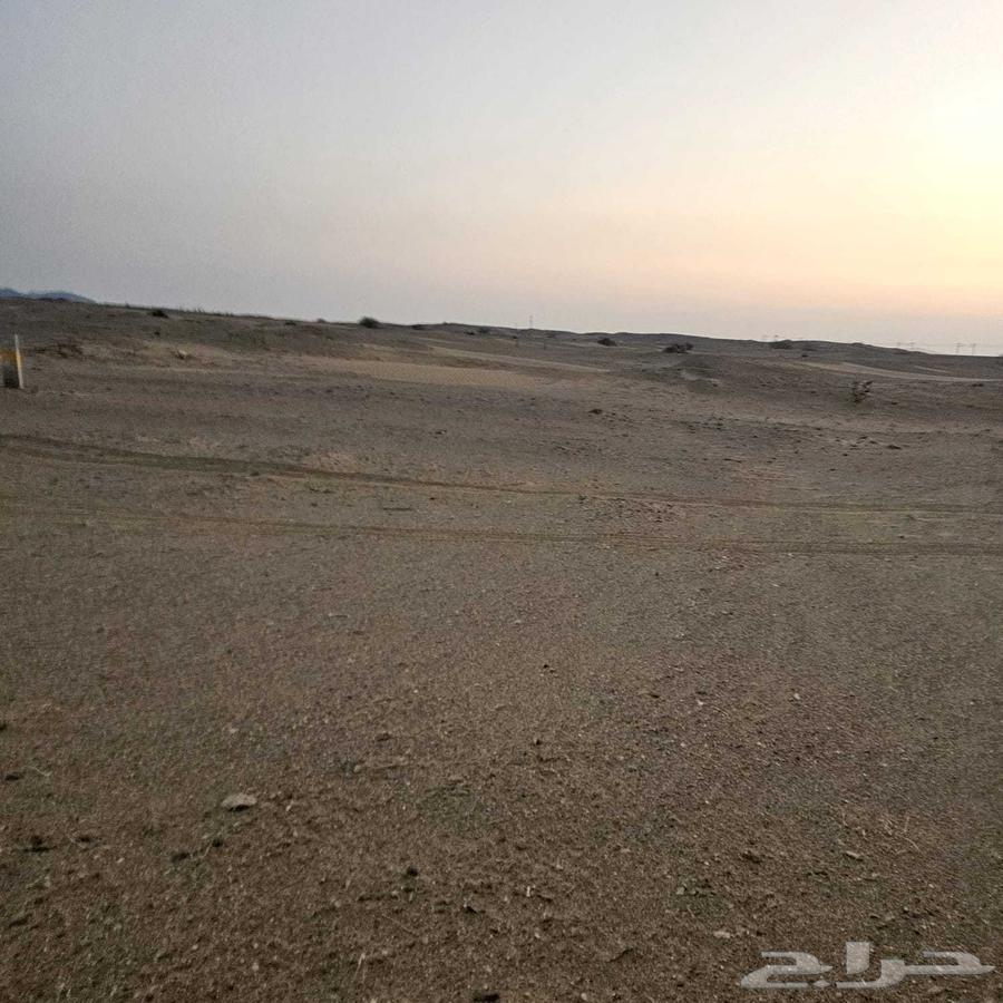 للبيع في طيبه الفرعية64458070461955112