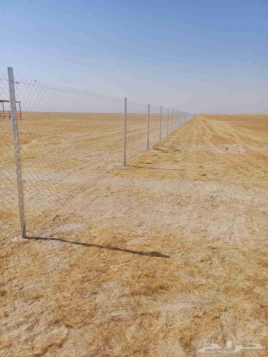 We supply and install all types of fences and palm trees64459665866241113