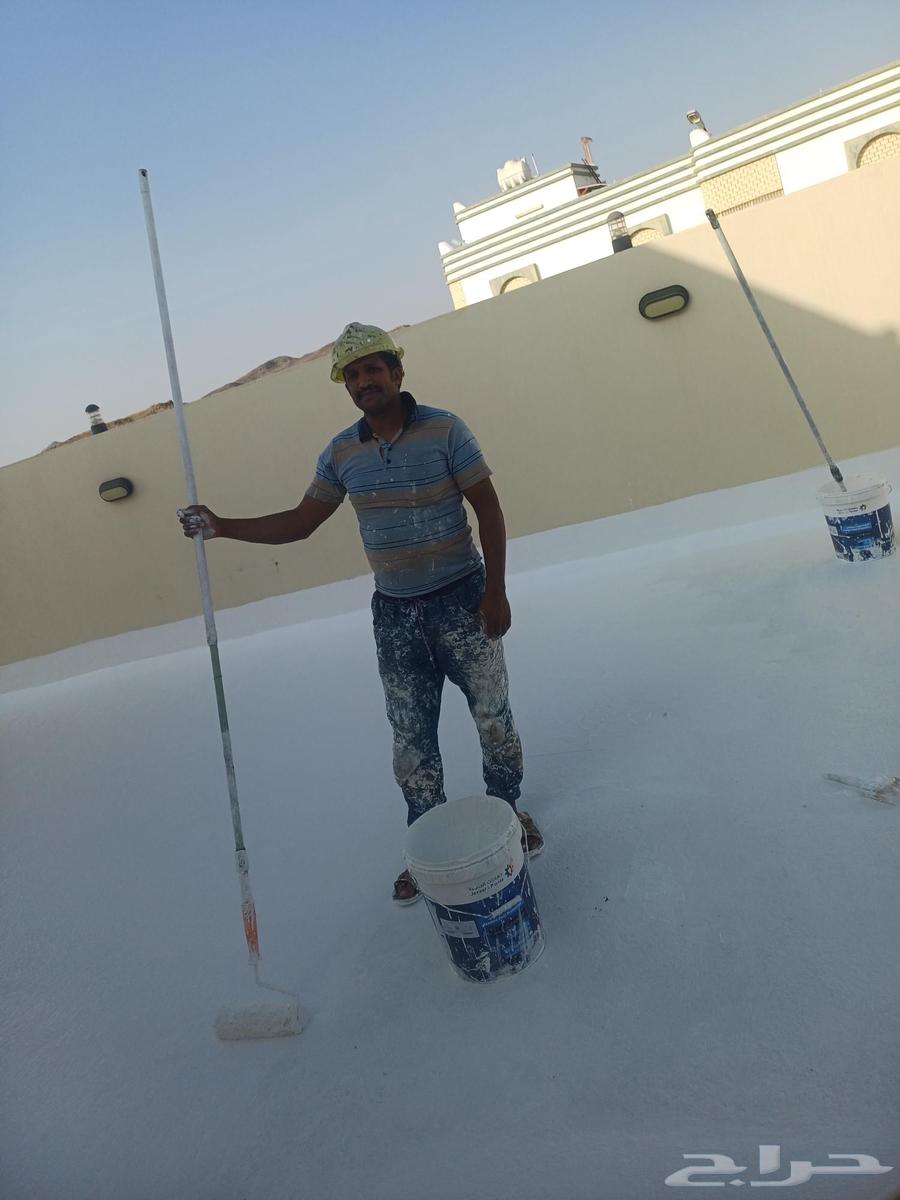 Insulators64459558099587114