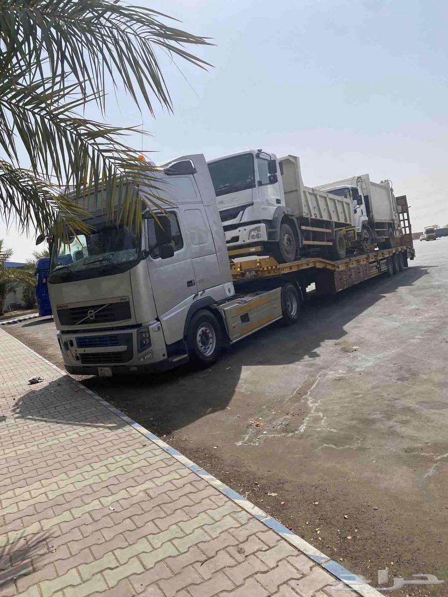 لوبد متواجد في الرياض64459821356930110