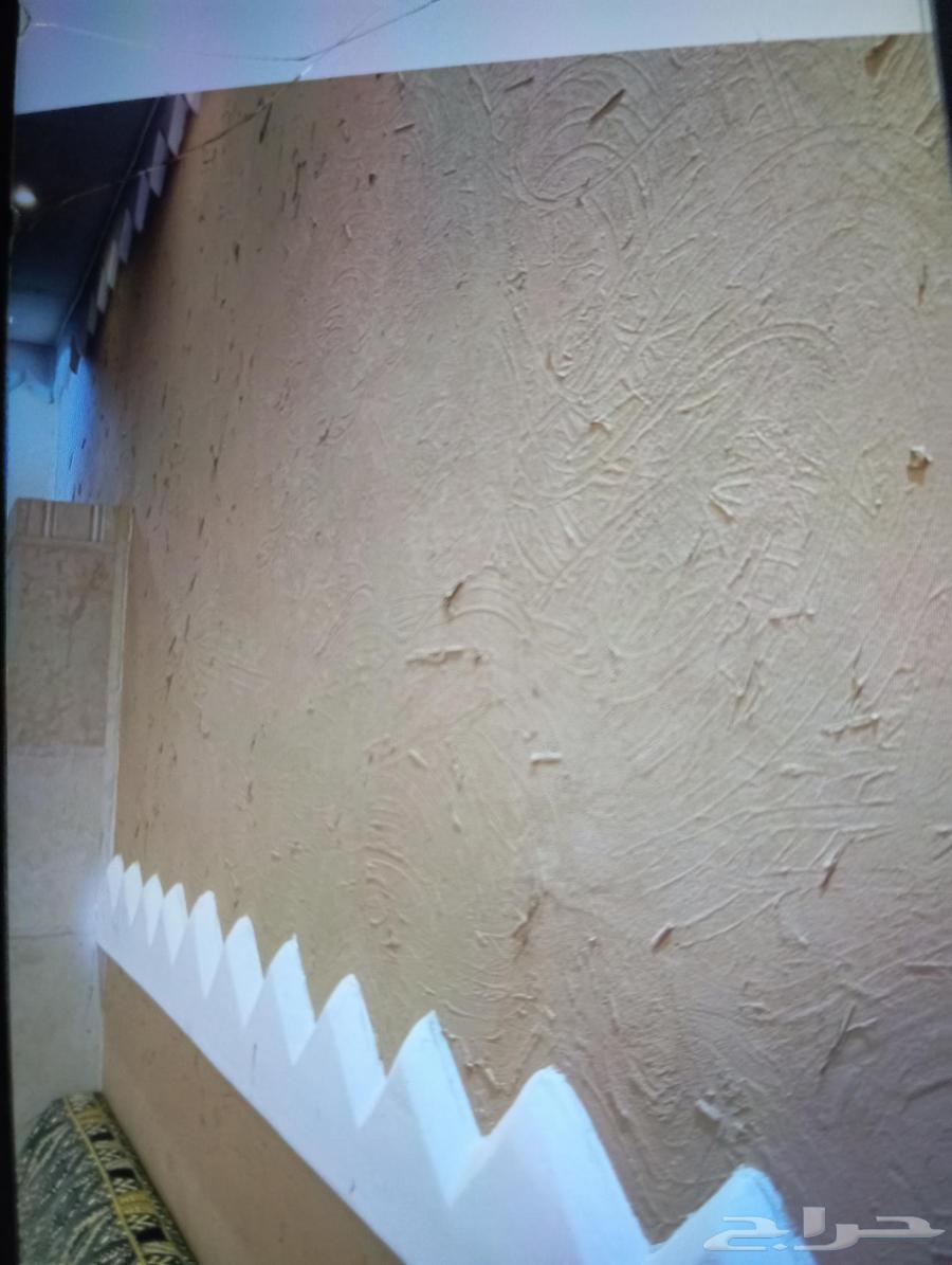 دهان مباني64459618730497111