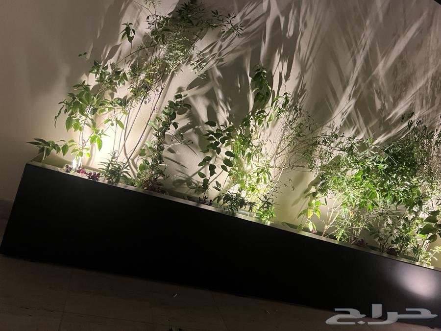 سباك وكهربائي شمال الرياض64459713569923112