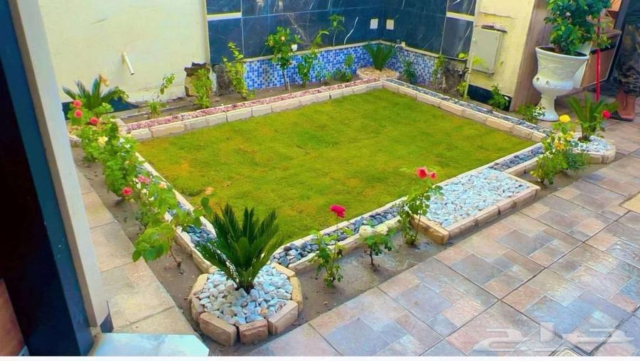 زراعه جميع انواع الاشجار والنخل والنجيل كل ما يتعلق بالزراعه64459775345281114