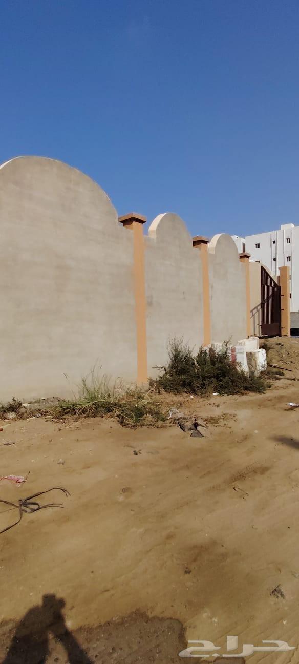 متخصصون في جميع انواع اللياسه الداخليه و الخارجيه والبروفايل64459852418562113