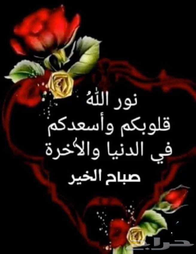 نقل عفش ابها وخميس مشيط فك وتركيب وتغليف وكراتين مطبخ64459852135043110