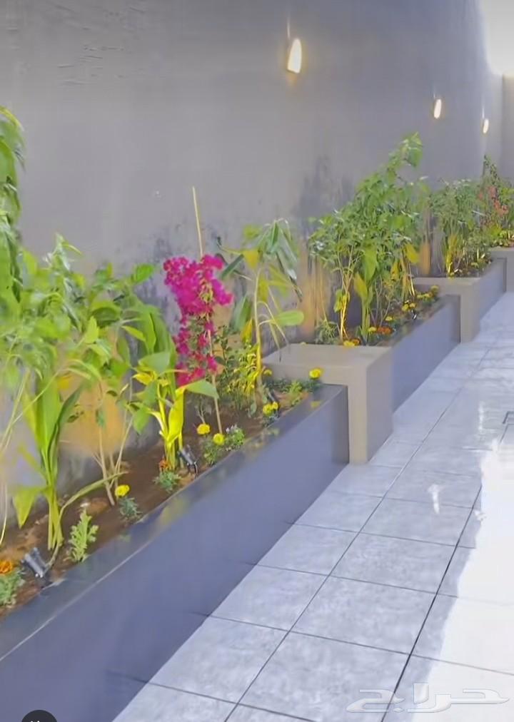 Making planting basins64524642599555111