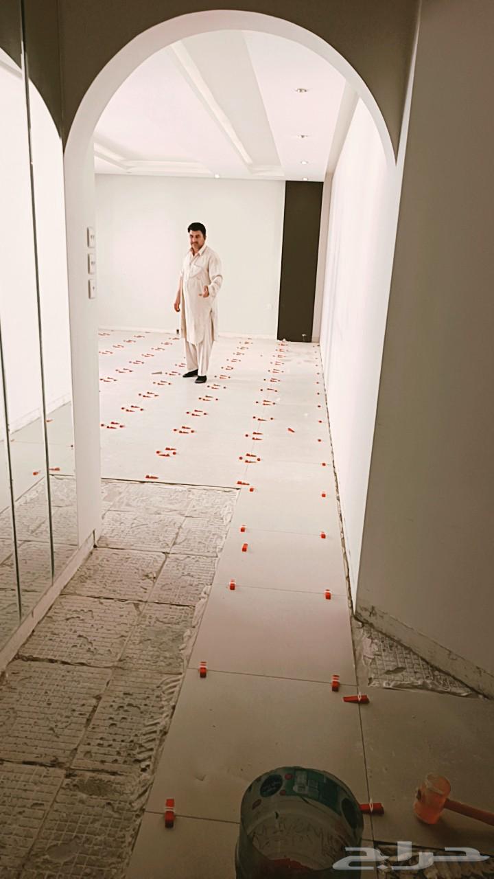 مبلط بلاط64457718583170110