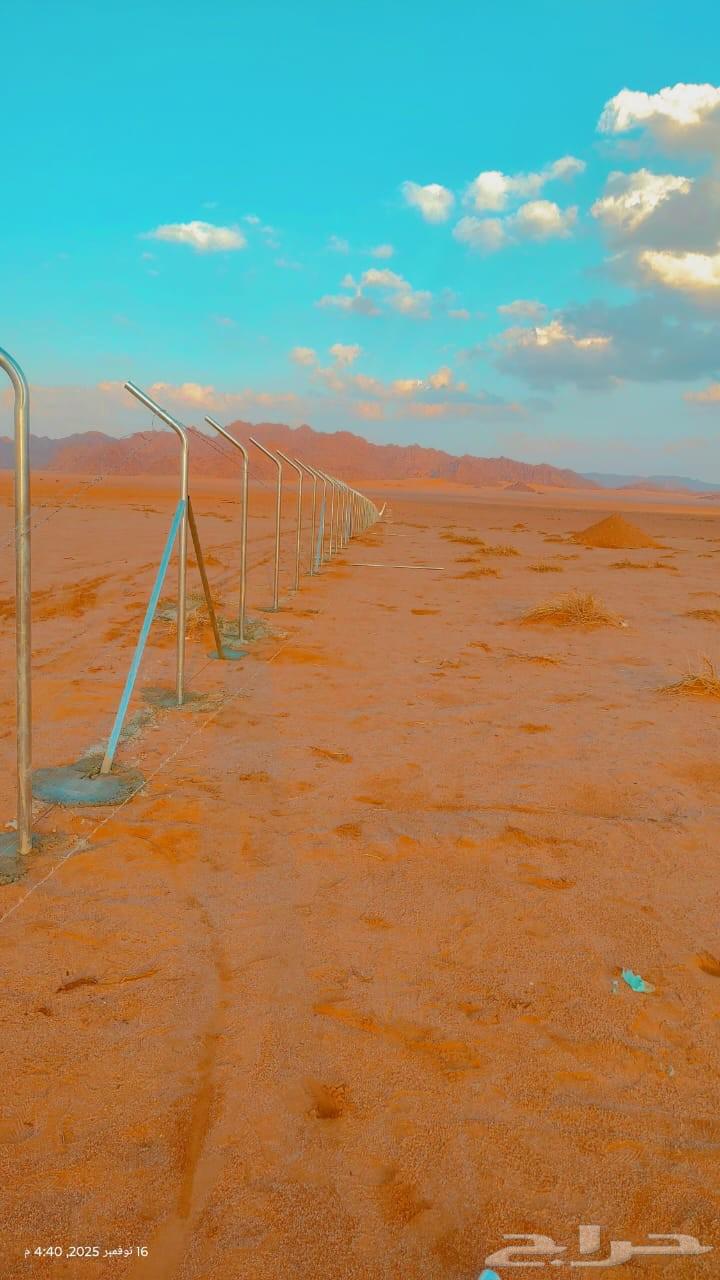 لتوريد وتركيب الاسوار الامنية والشبوك الزراعيه بجميع انواعها64459836747393114