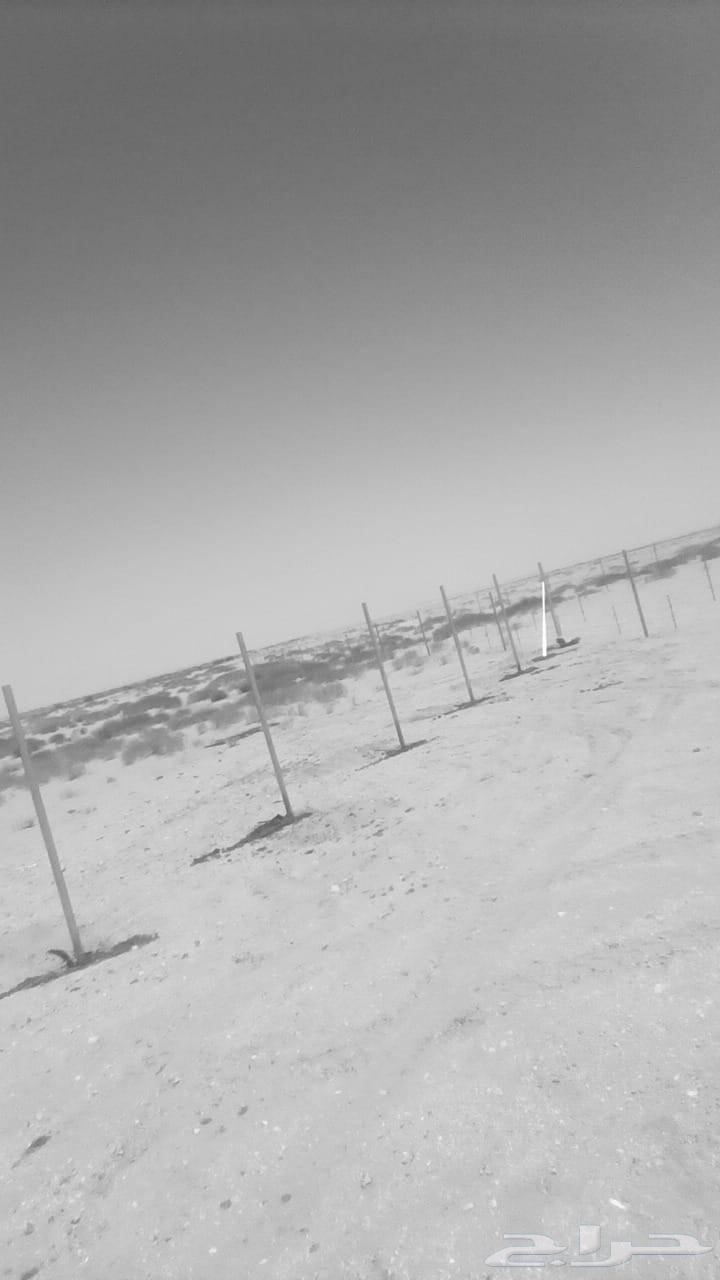 Contractor for all types of fencing, farms, government fencing, fence line. Contact via 05564459805981185111