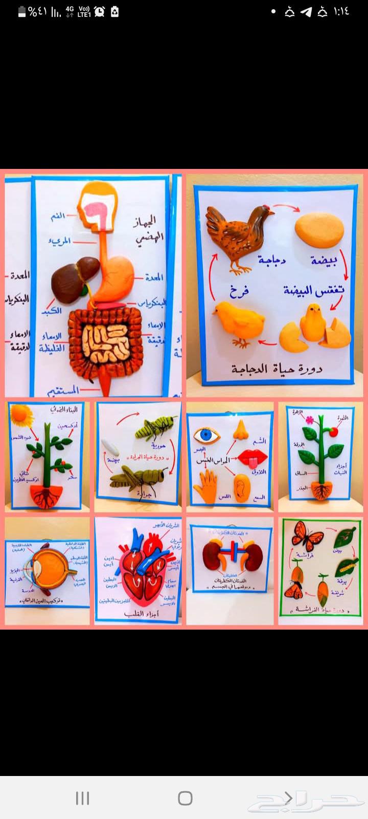 مدرس خصوصي ببيت الطالب تأسيس ومتابعة بالرياض64459758483075110