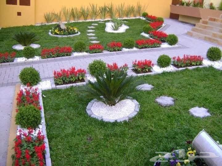 زراعه جميع انواع الاشجار والنخل والنجيل كل ما يتعلق بالزراعه64459775345281111