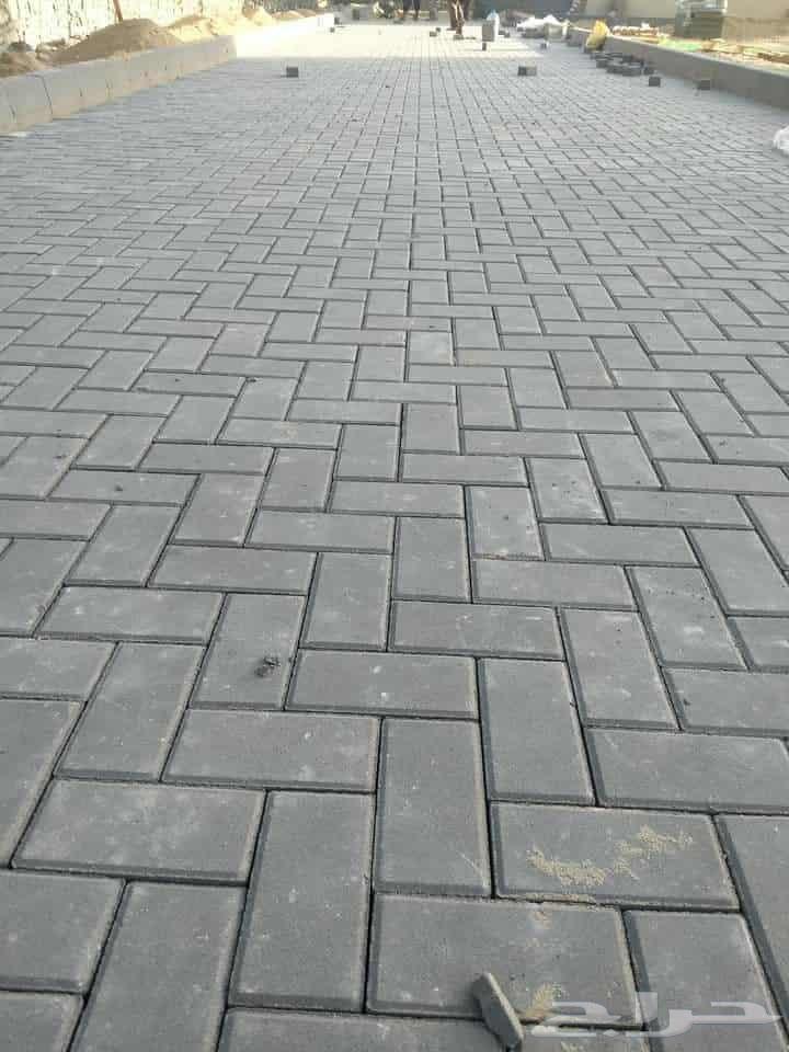 أبو أنس معلم بلدوره وانترلوك64459498581379114