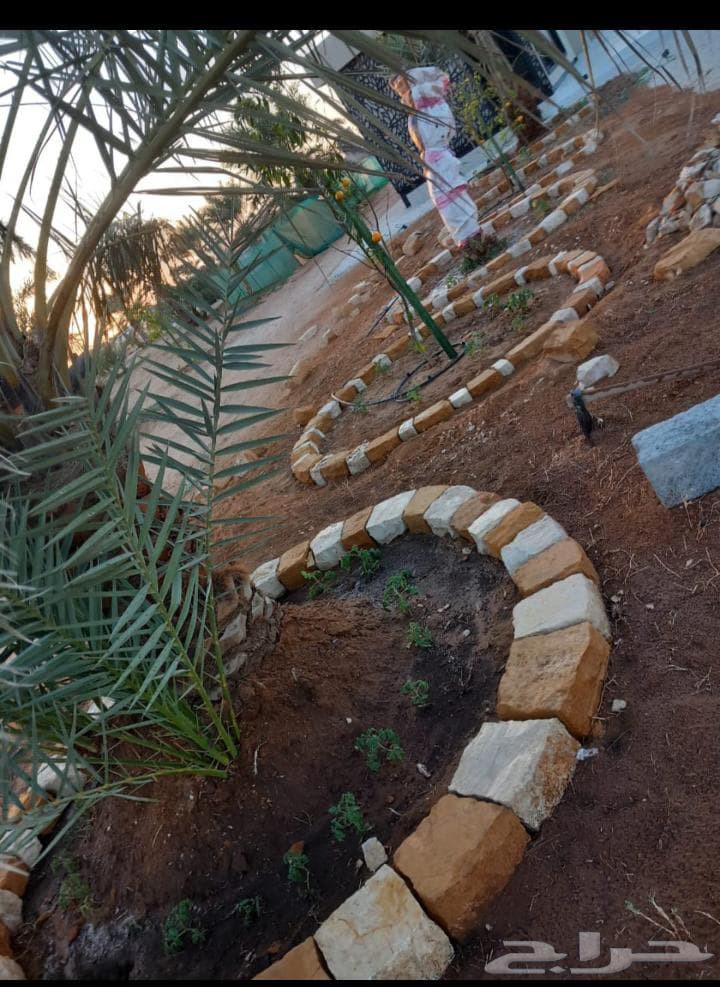 نقوم بتنفيذ جميع اعمل اتراث السقوف وبنيان المجالس64459588899457114