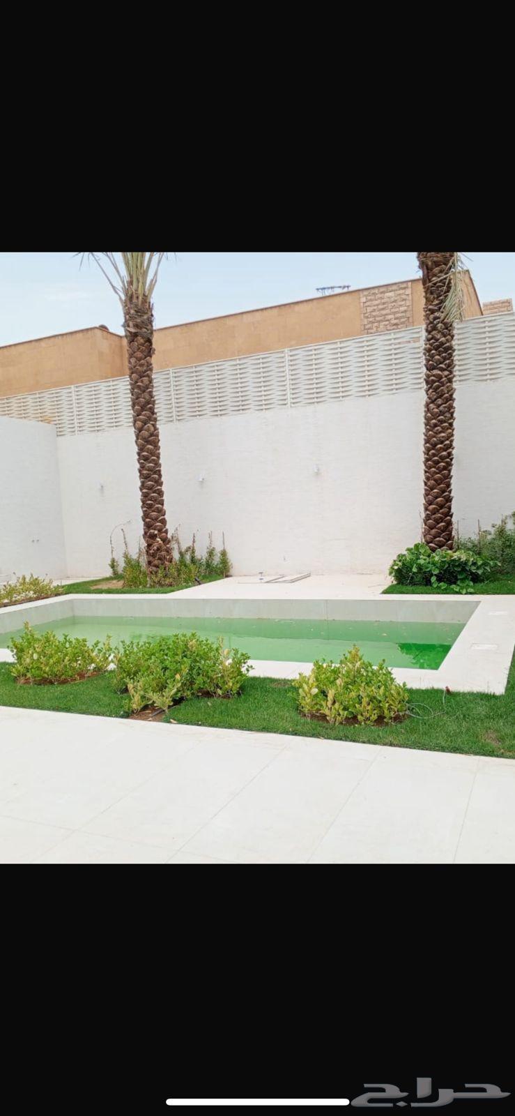 Palm pruning and tree trimming64459821108226111