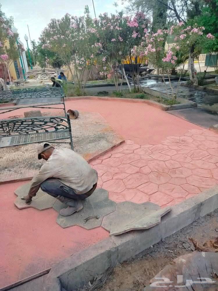 Fan casting budget casting colored casting64459483619842110