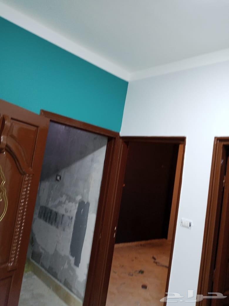 دهان لتنفيذ جميع الديكورات وتسليم الاستشاري والمهندسين باسعا64459852002817112