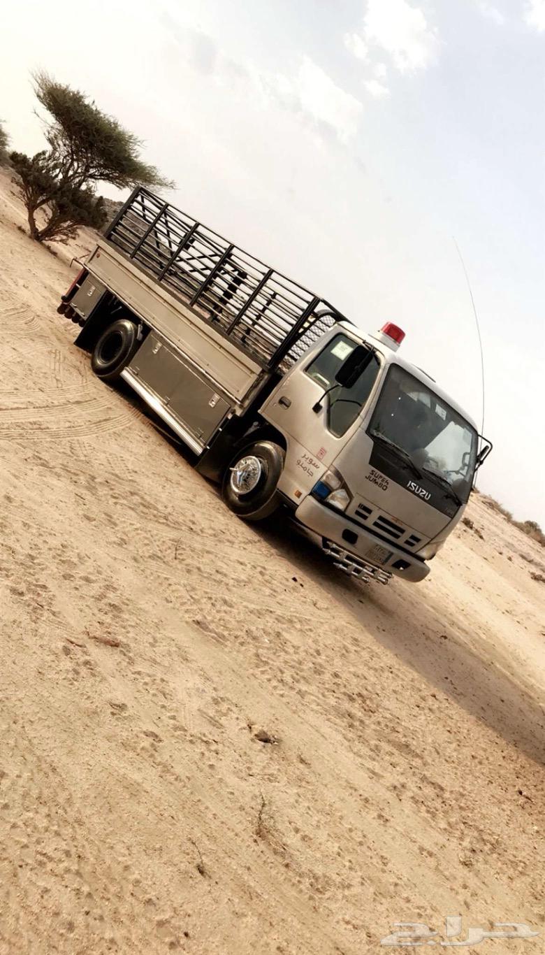 Dana trip inside and outside Taif64459557835265111