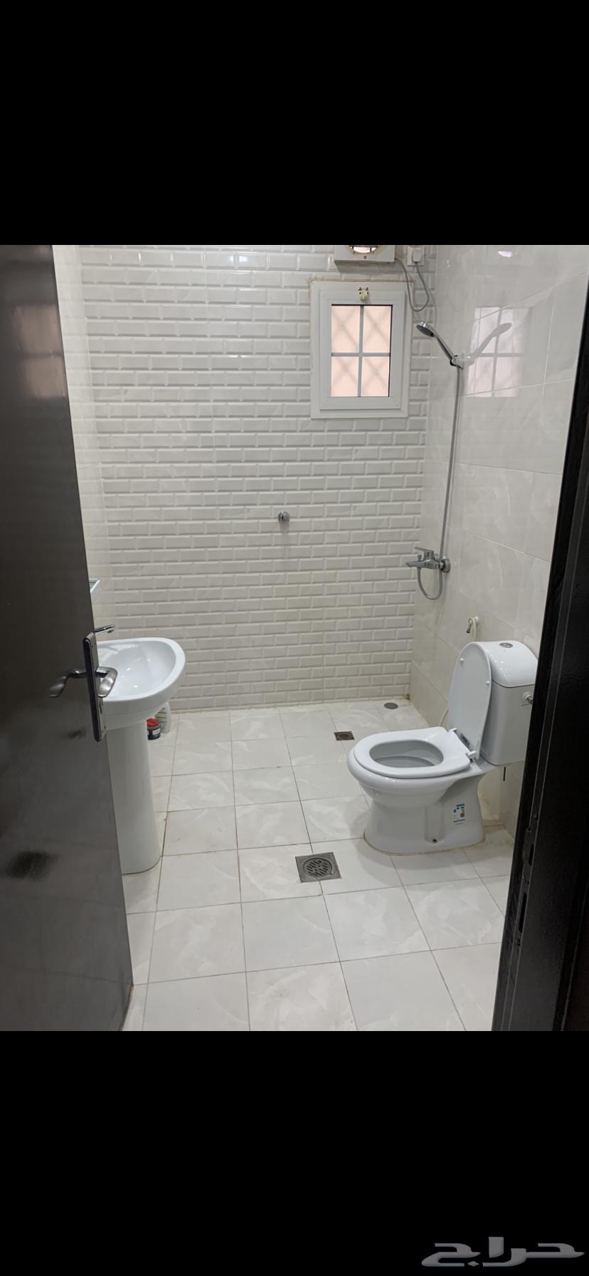 شقة غرفتين وحمام بدون مطبخ سكن عوايل ف الملحق الدور الاول64458167140994112