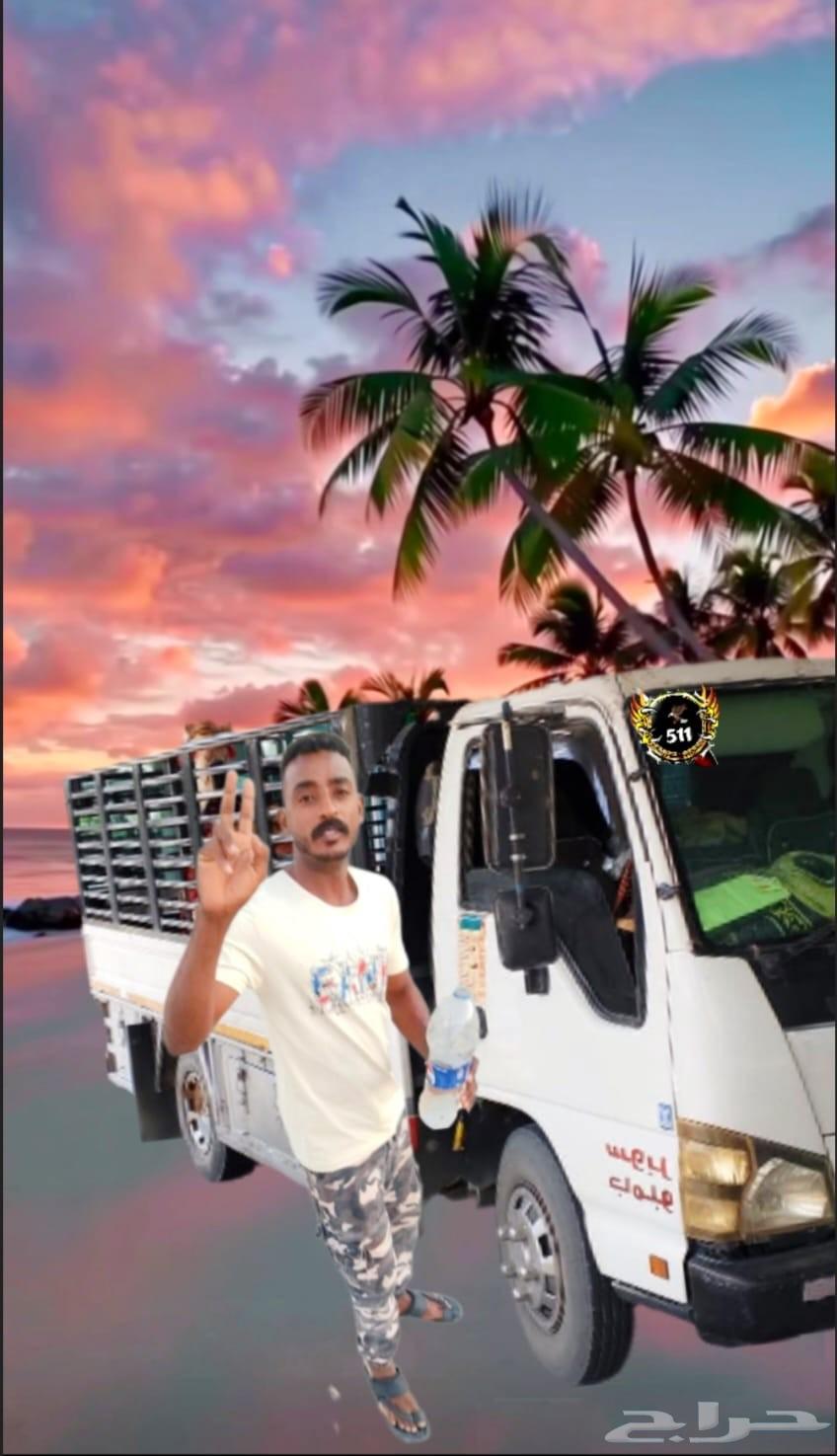 دينا مشاوير جمع أنحاء المملكة العربية السعودية عفش غنم صفه ا64459867321347110