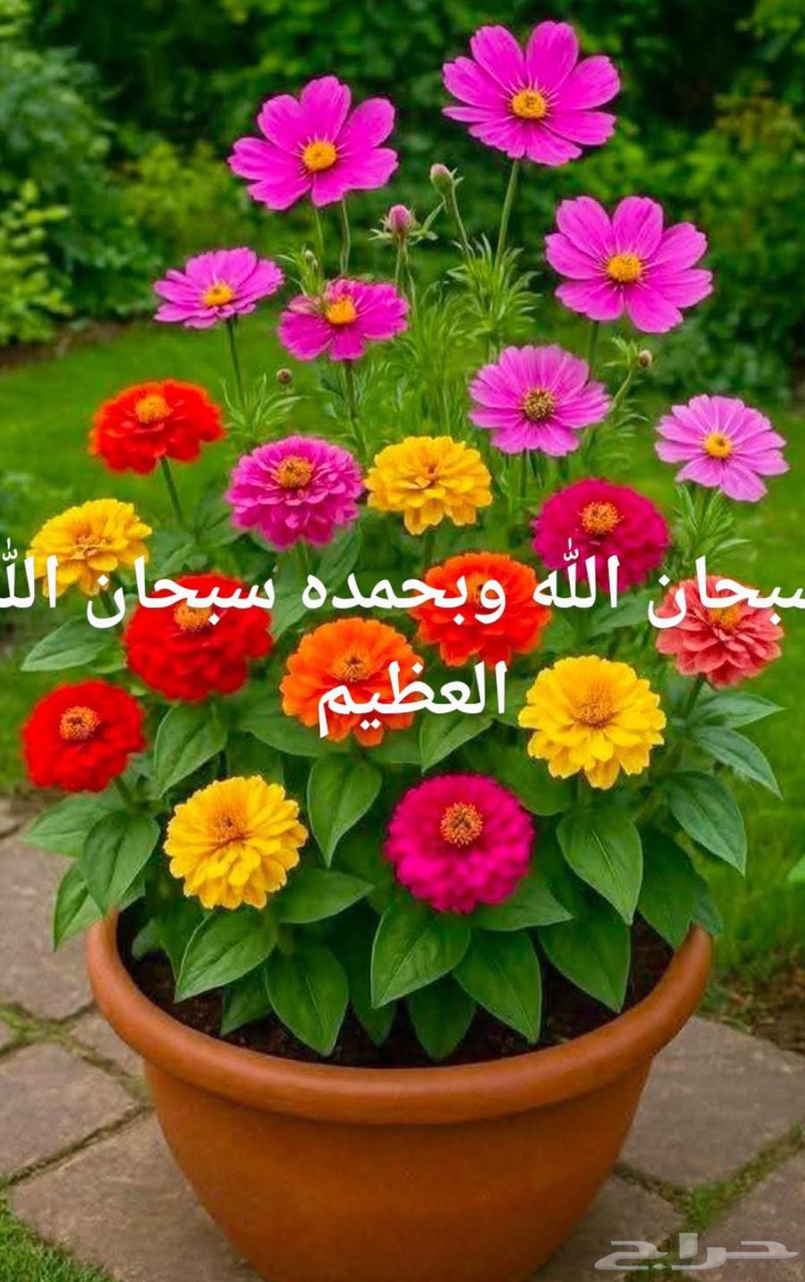 مزارع للحدائق الفلل والاستراحات في شمال الرياض64459806227458110