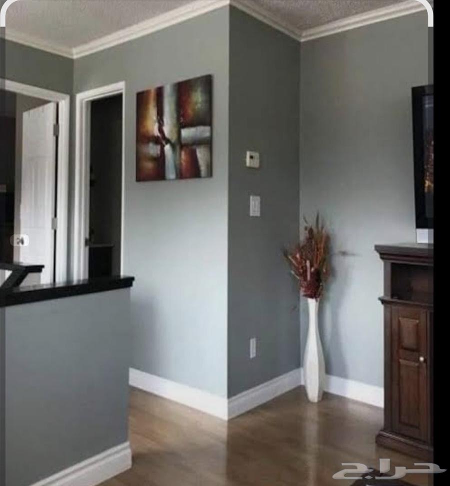 معلم دهنات بالمدينه المنوره لجميع انواع الدكورات ورق جدران64459468566657110