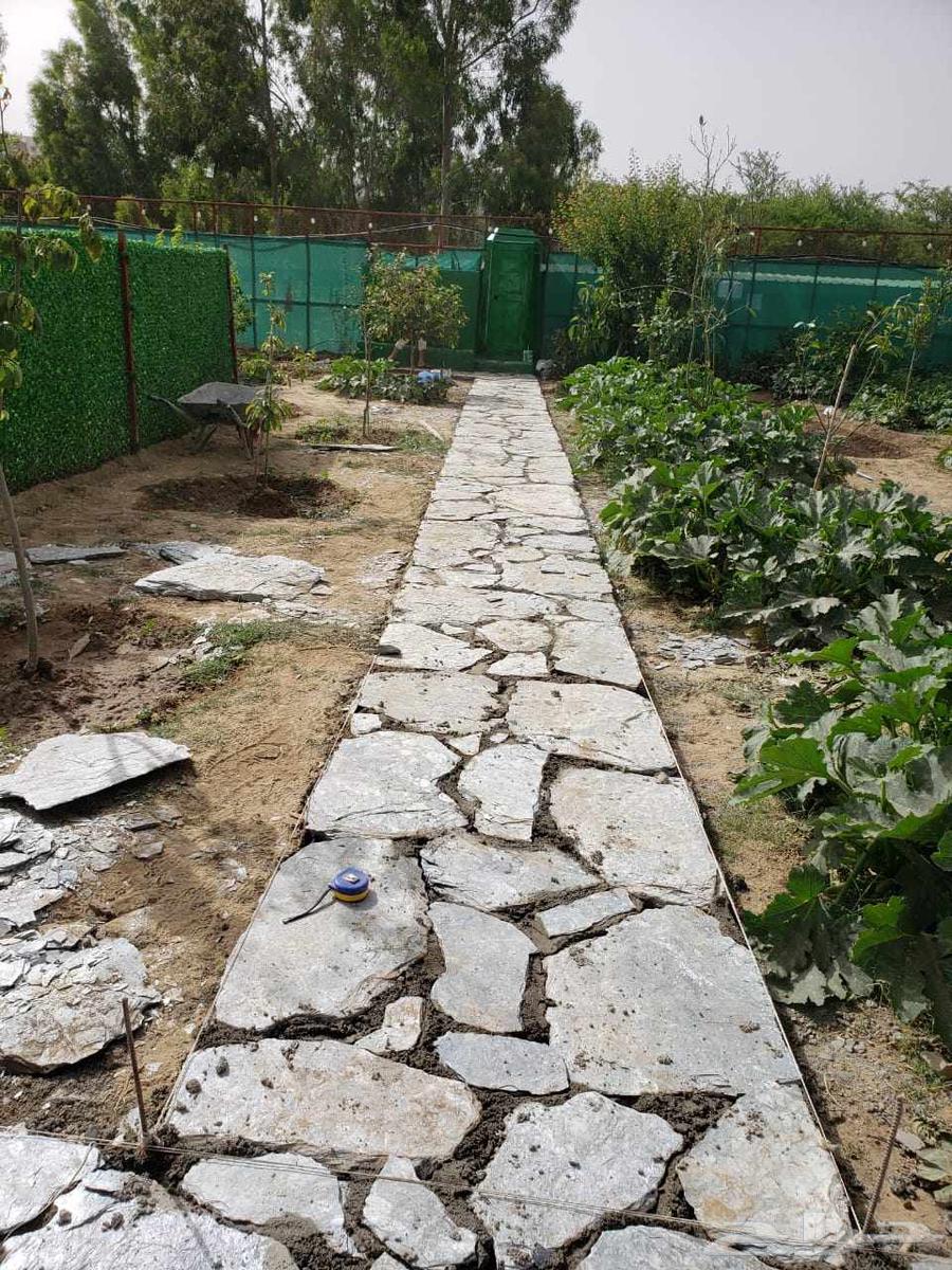 مقاول حجر الباحه وضواحيها64473758620675114