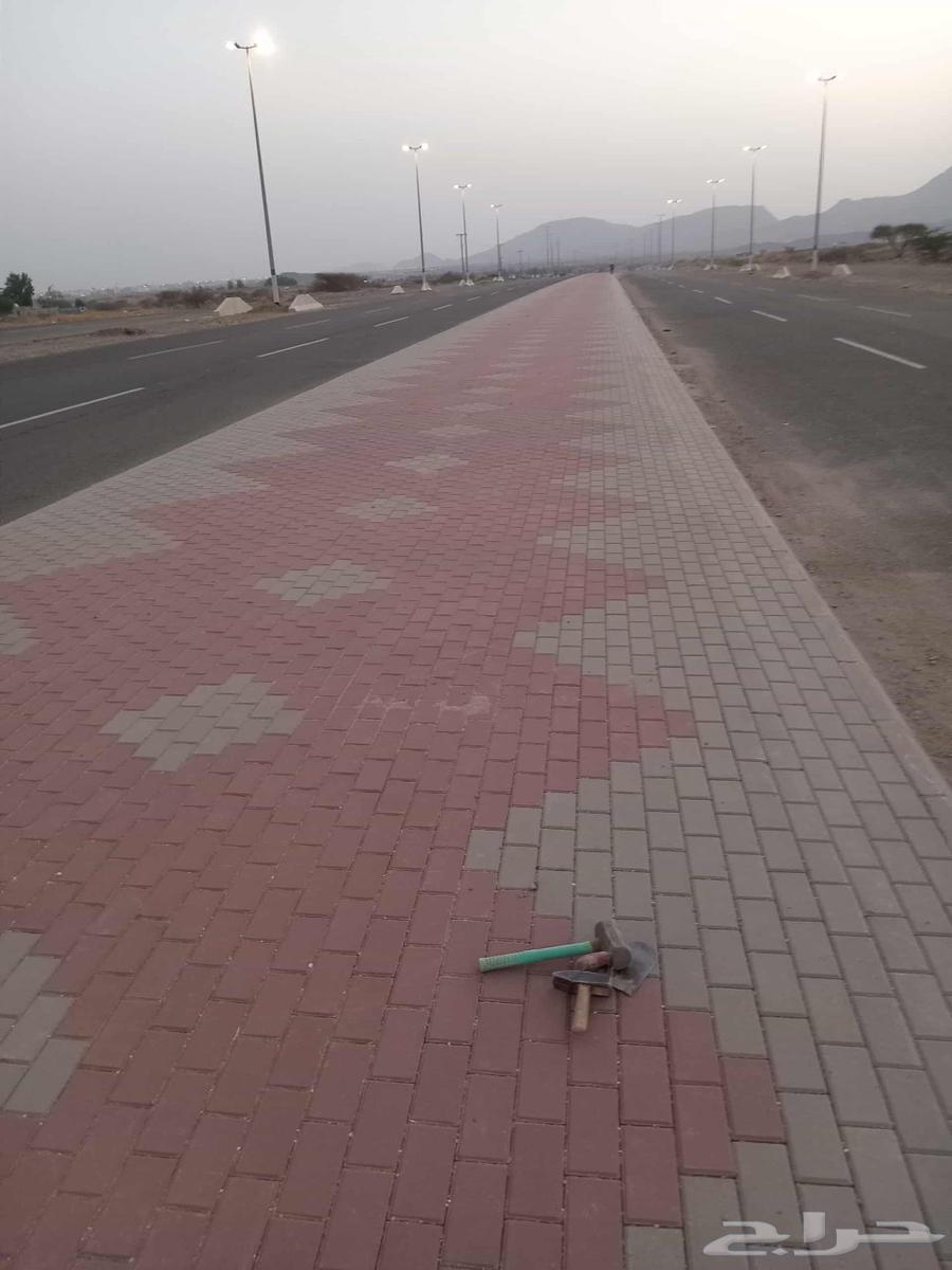 أبو أنس معلم بلدوره وانترلوك64459498581379113