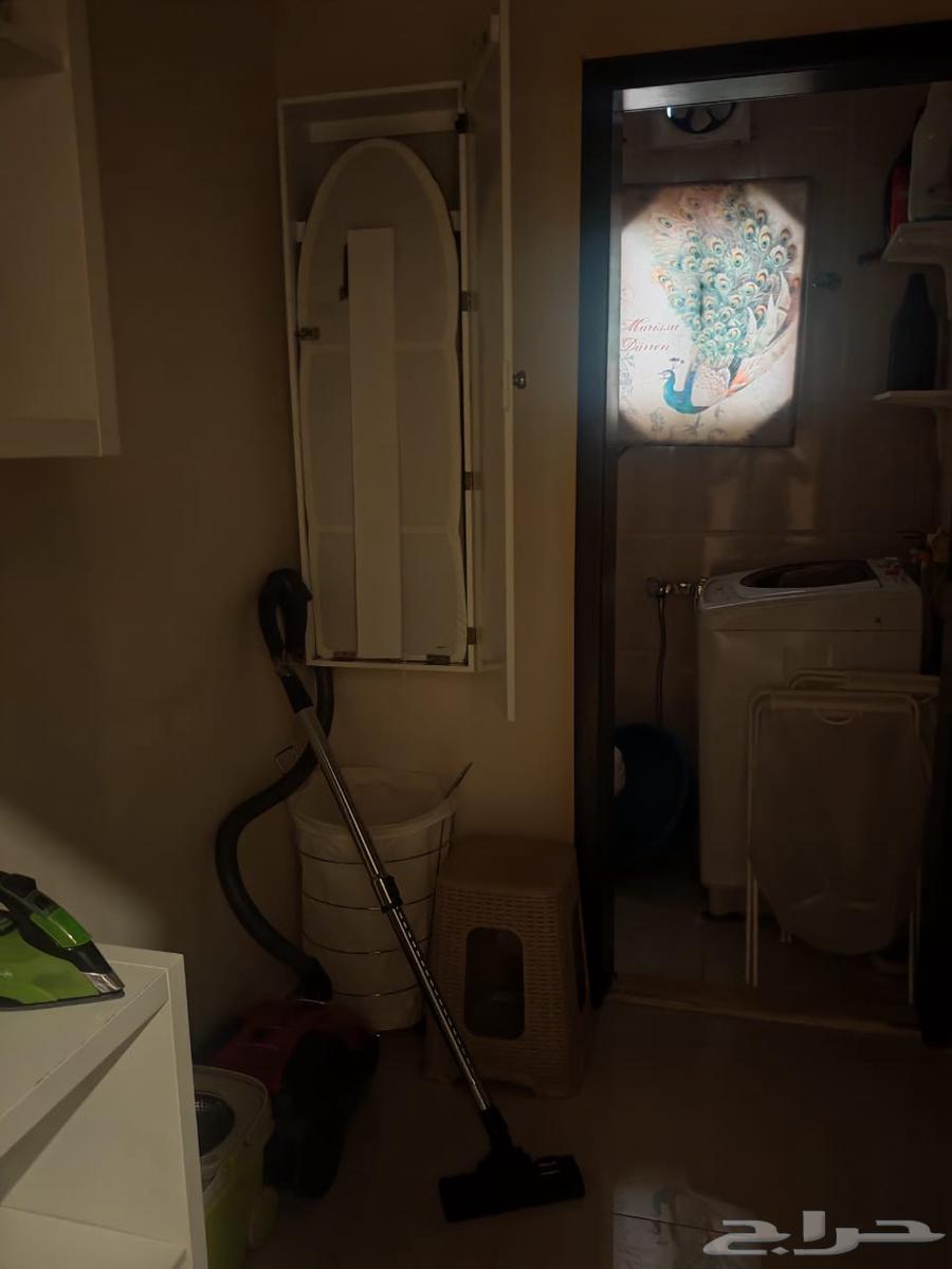 شقة للإيجار