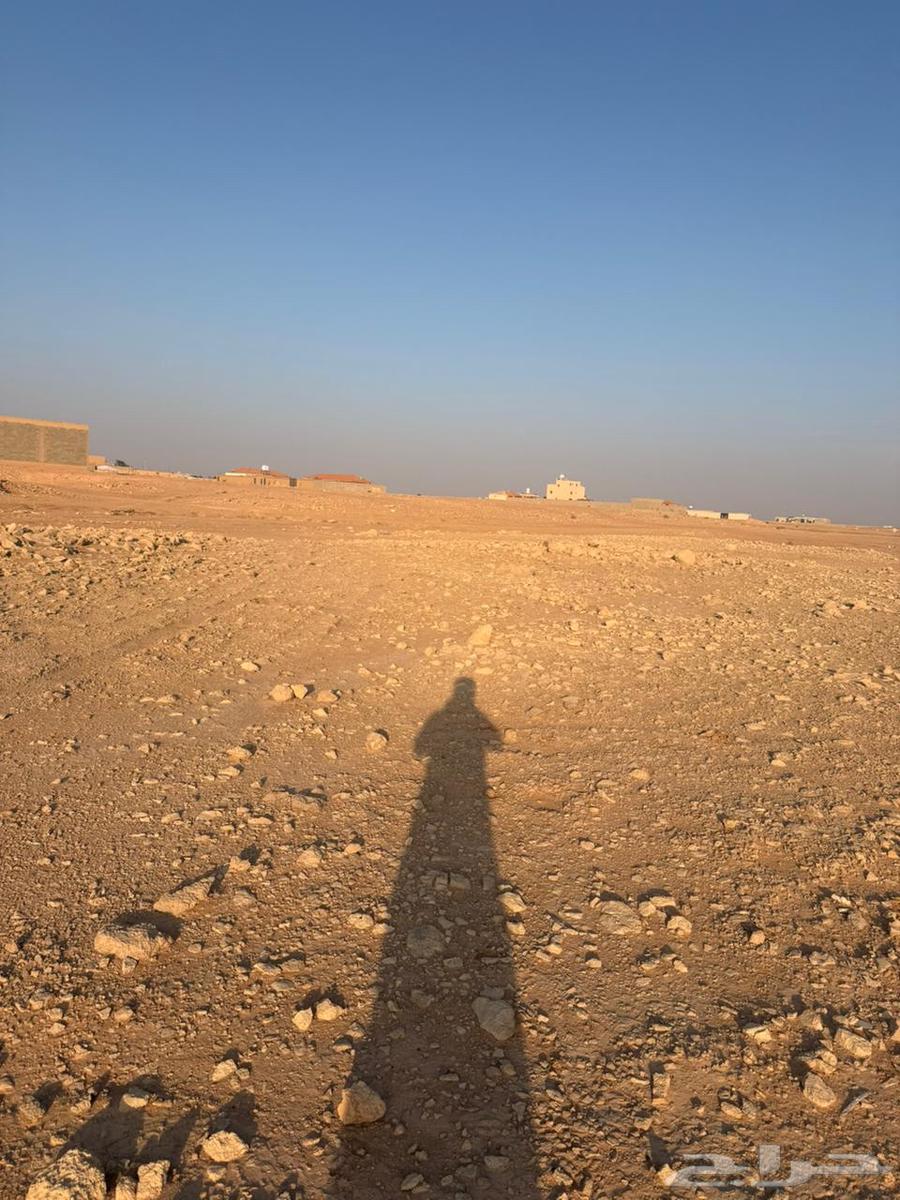 Land for sale in plot 3133, Ramah intersection, northern 40-meter street64458134809601113