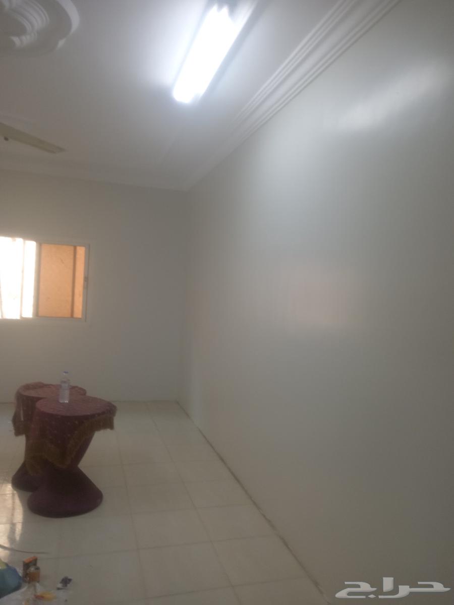 معلم دهانات المدينه المنوره لجميع انواع البويات عوازل64473741732227112