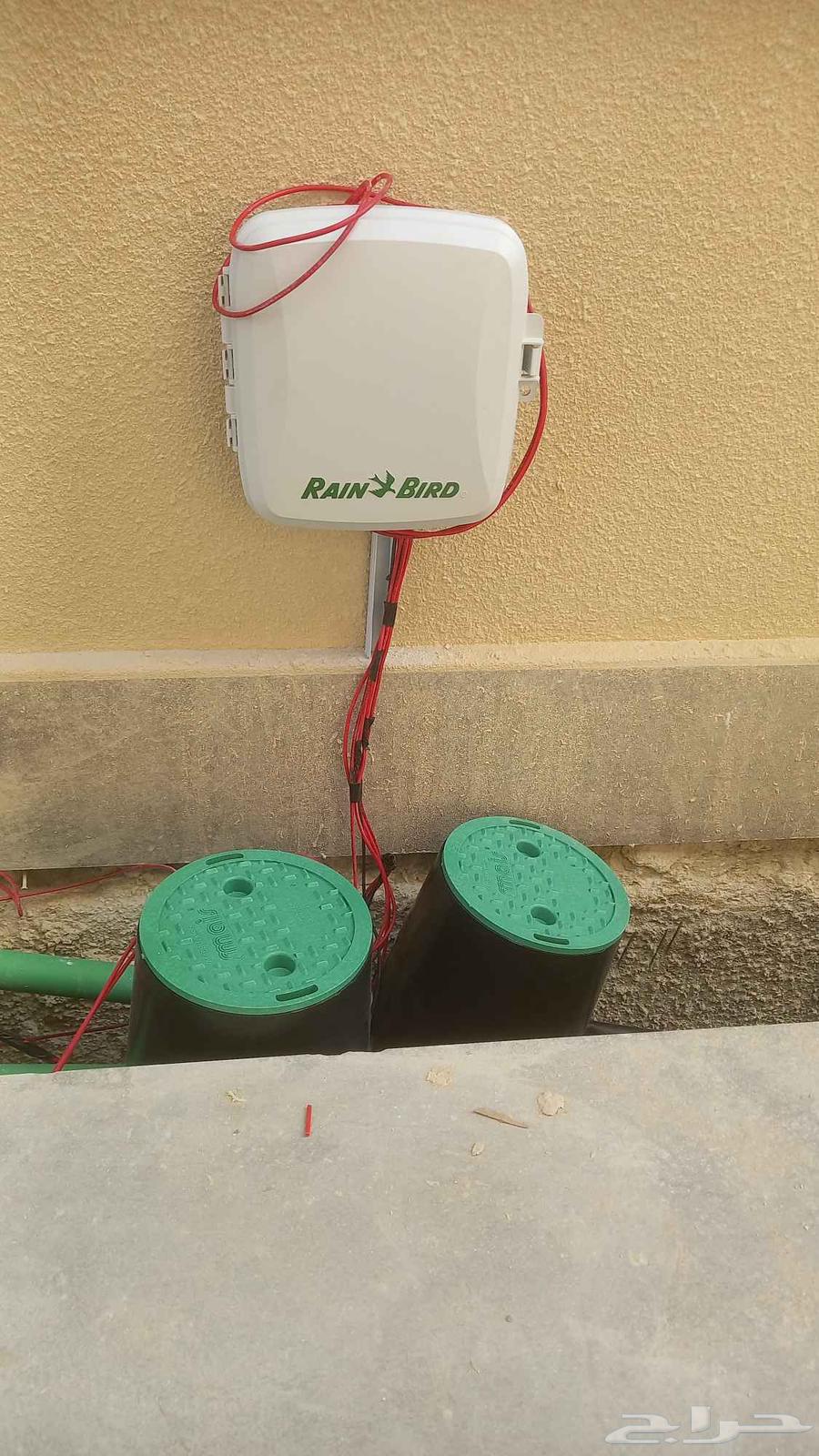 فني شبكات ري وتنسيق الحدائق64473916754817110