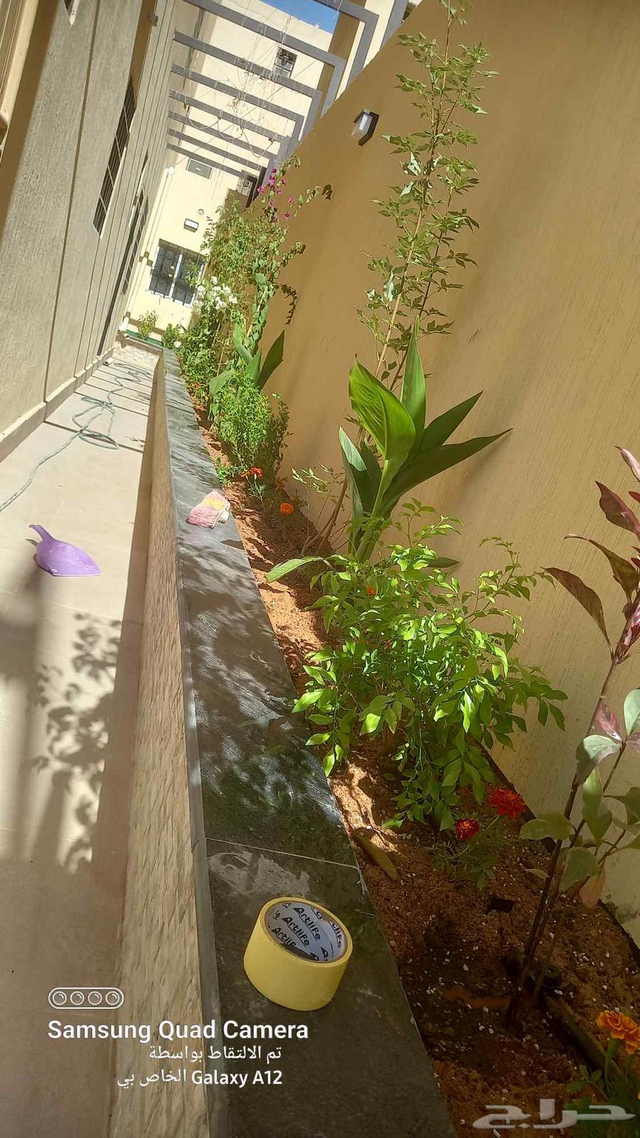 فني شبكات ري وتنسيق الحدائق64473916754817112