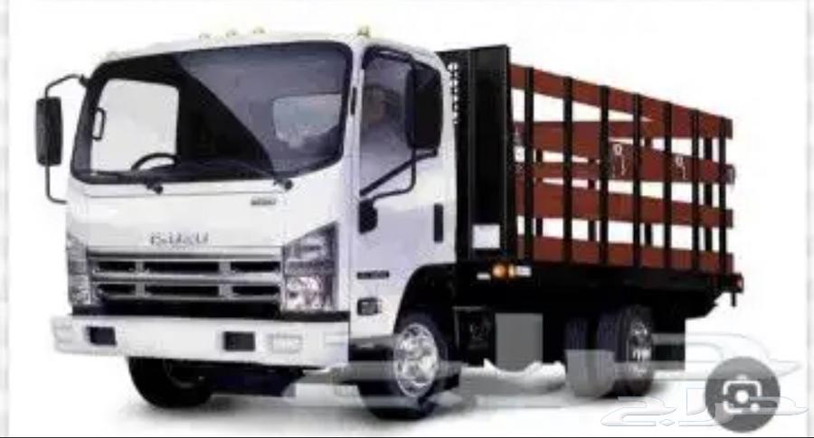 دنه دينا دينه64473741494531110