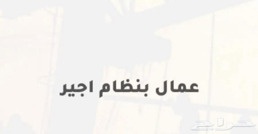متوفر لدينا عمالة وسائقين بنظام اجير وبأسعار تنافسية64459898245633110
