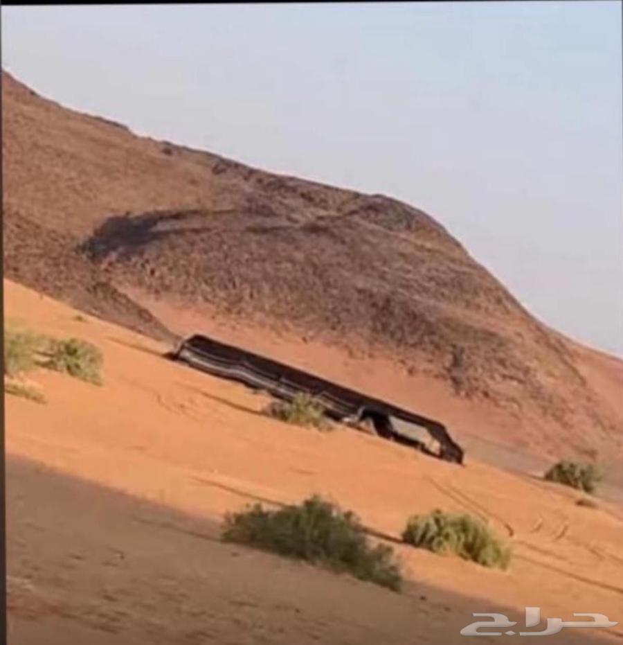 Abu Ahmed for fixed and movable tents installation64473757476994114