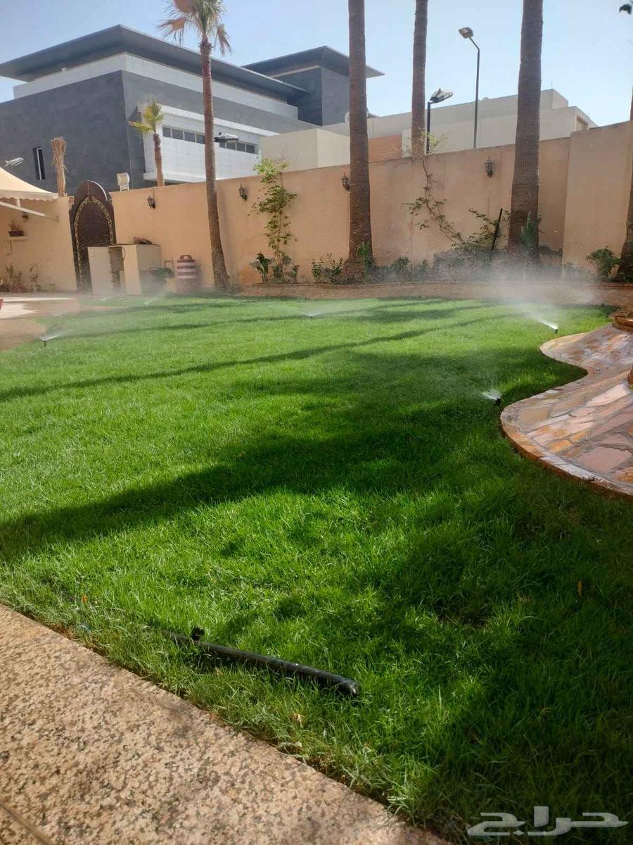 تنسيق حدائق زرع نخيل ورود طبيعي تيل طبيعي64481305168771111