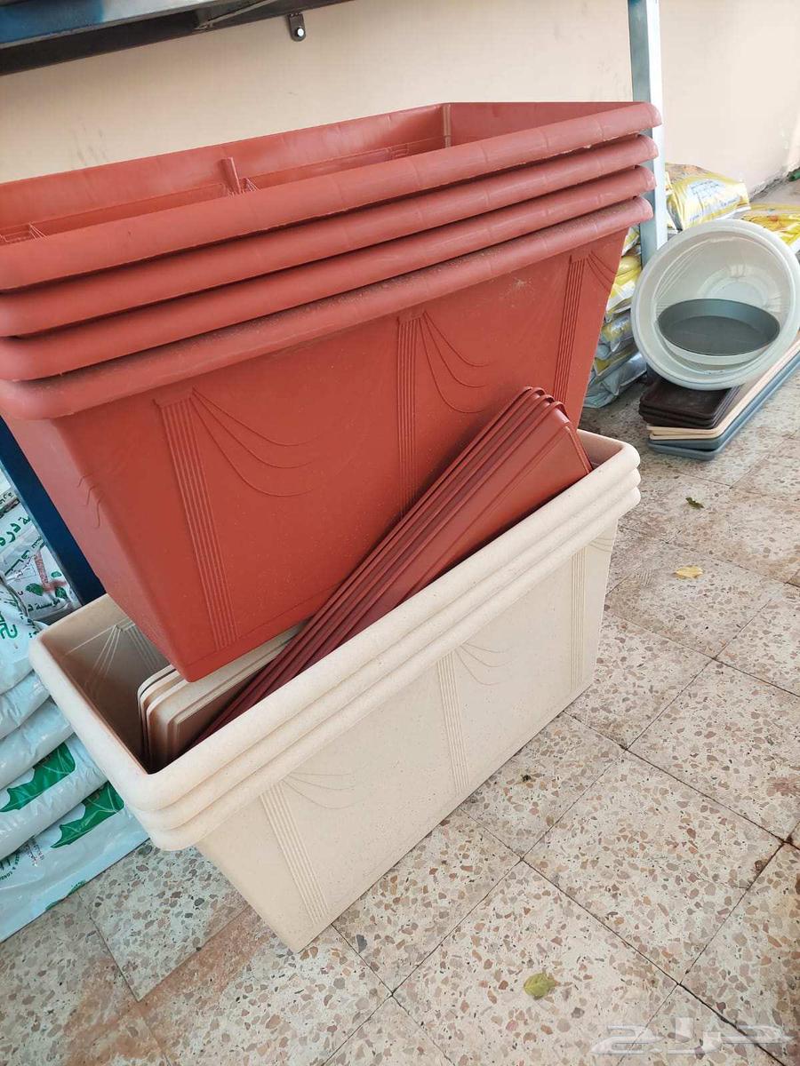 Cultivator of all types of trees, indoor and outdoor, as well as Arabic and American palm trees64474012366979111