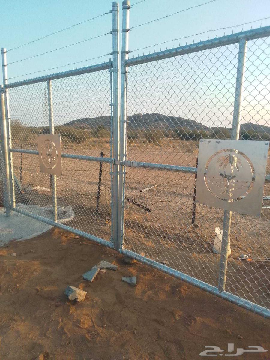 All types of palm trees and trees64474090449026114